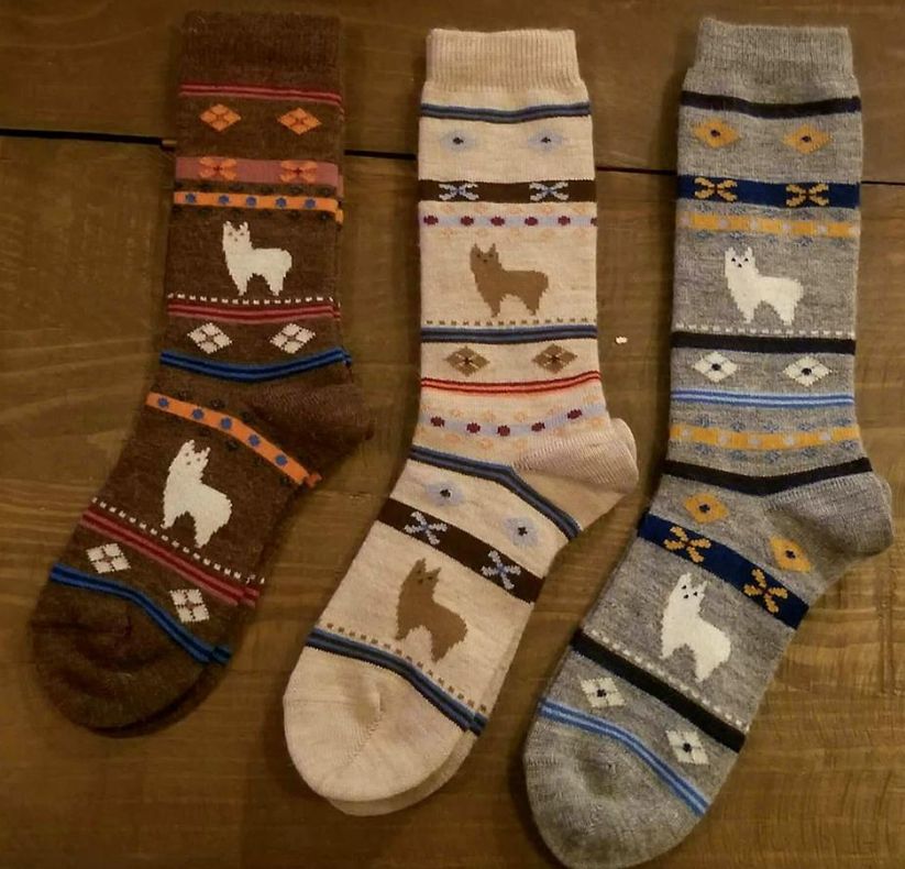 Alpaca Watching Sock