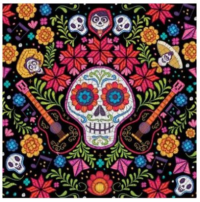 Coco (Embroidered Skull) Canvas - 40 x 40cm