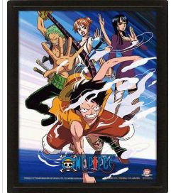 One Piece (Straw Hat Pirates Assault) 3D Frame