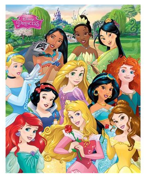 Disney Princess Mini Poster