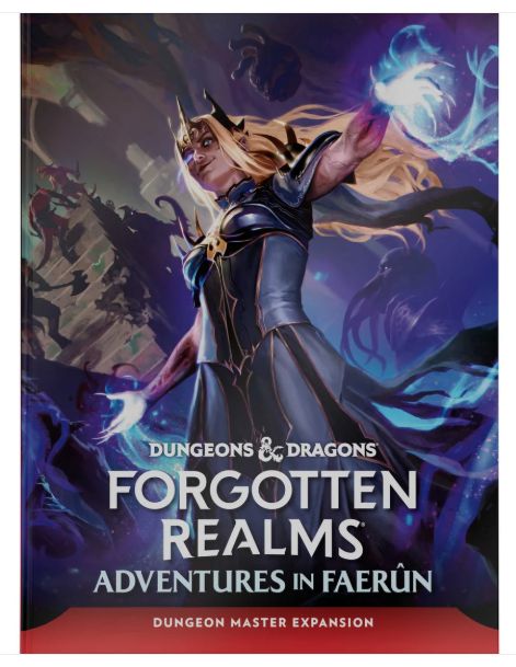 Dungeons &amp; Dragons: Forgotten Realms Adventure Guidee