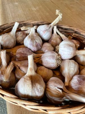 1kg Garlic Bulbs