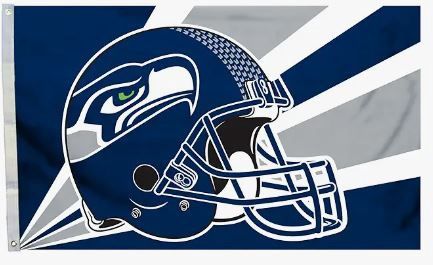 NFL: Sea Hawk