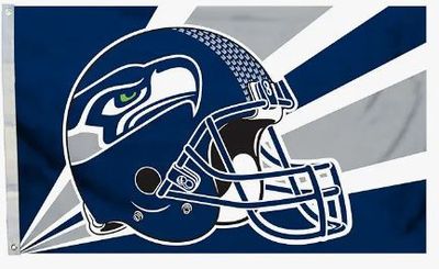 NFL: Sea Hawk
