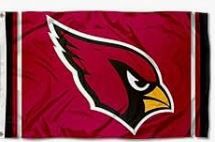 NFL: Arizona Cardinals