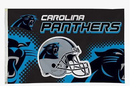 NFL: NC Panthers