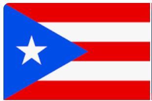 Puerto Rico Flag