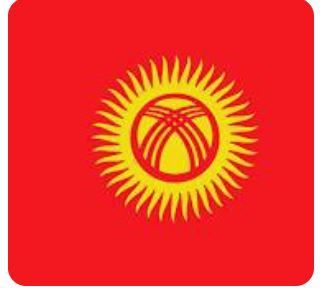 Kyrgyzstan Flag