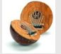 Kalimba:  Etched Coconut