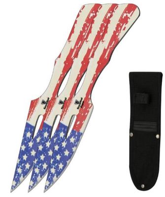 THRWR 3 PC: SE USA flag PRNT 9"