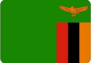 Zambia Flag