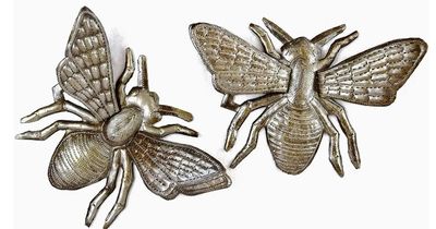 Haiti: Bee 6"