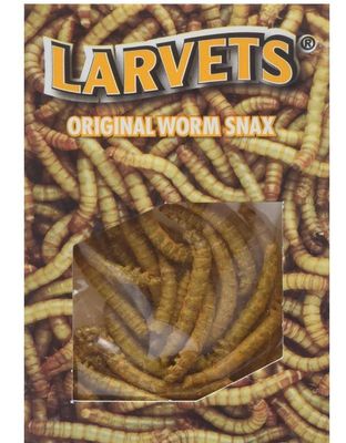 Larvets: Cheddar Cheese