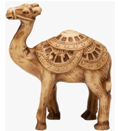 Camel -Brown accented