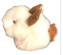 Alpaca Bunny Stuffie