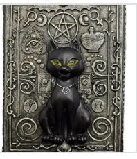 Tarot Box: Cat