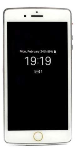 Stun gun: Smart Phone