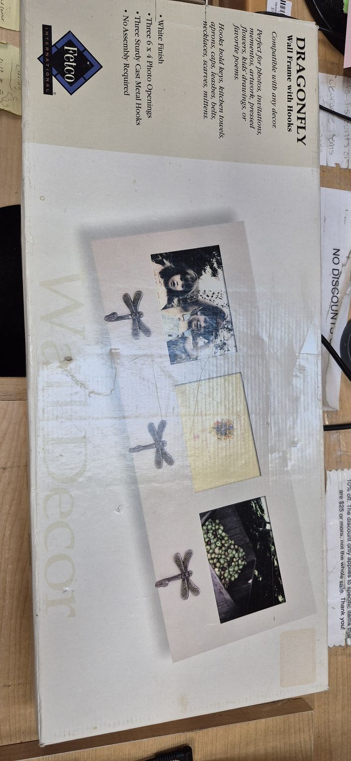 DragonFly Wall Frame w/hooks