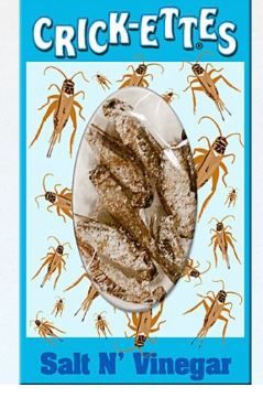 Crickettes: Salt &amp; Vinegar