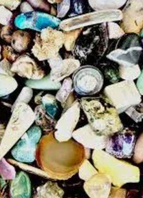 Fossils Rocks and Gemstones