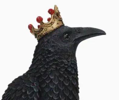 Crowned Raven on tree stump