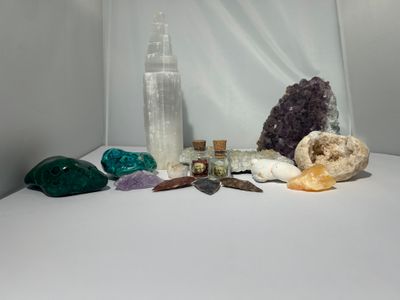 Fossils Rocks and Gemstones