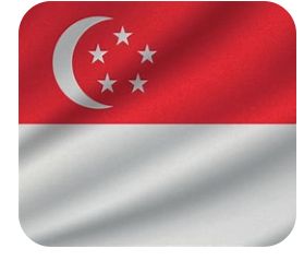 Singapore Flag