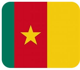 Cameroon Flag