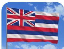 Hawaii Flag
