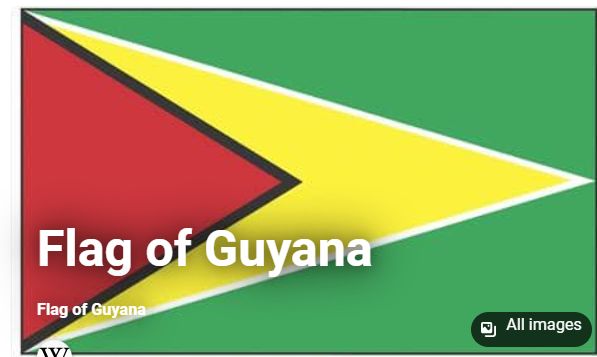 Guyana Flag
