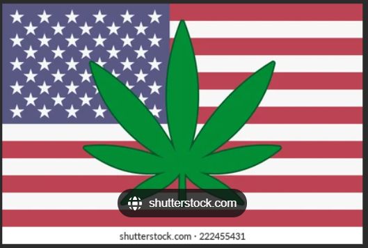 Flag: USA POT Leaf