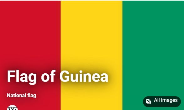 Guinea Flag