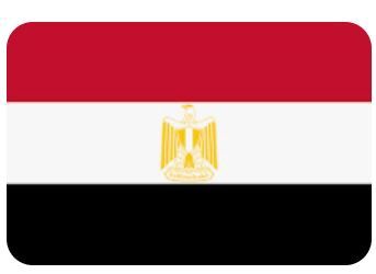 Car Flag: Egypt