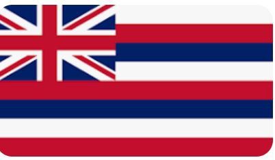 car flag: Hawaii