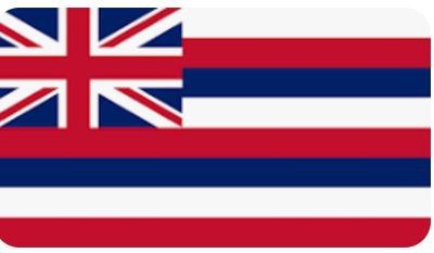 car flag: Hawaii