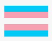 Transgender Flag