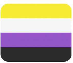 Non Binary Flag