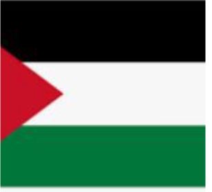 Car flag: Palestine