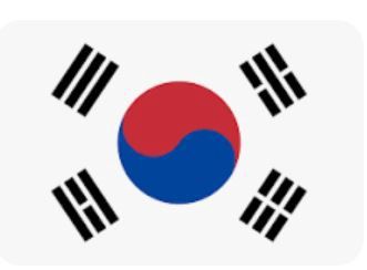 Car flag: South Korea