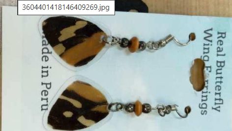 Earrings: Real Butterfly Wing