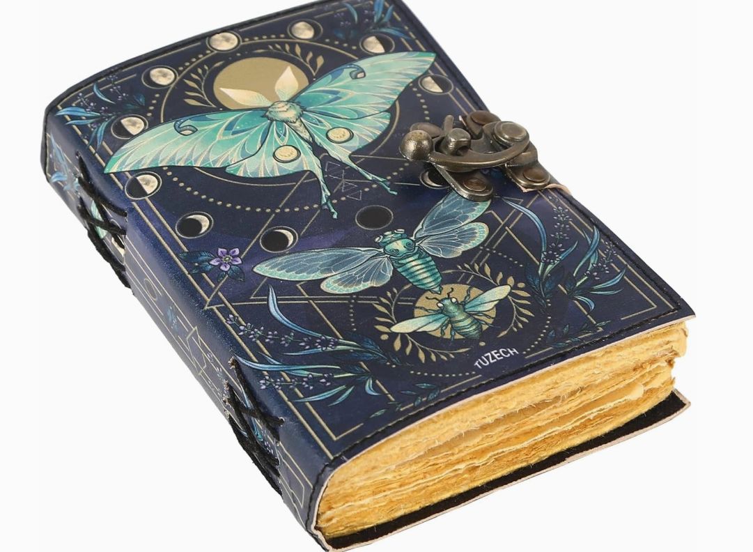 LTHR Journal: Blue Butterfly