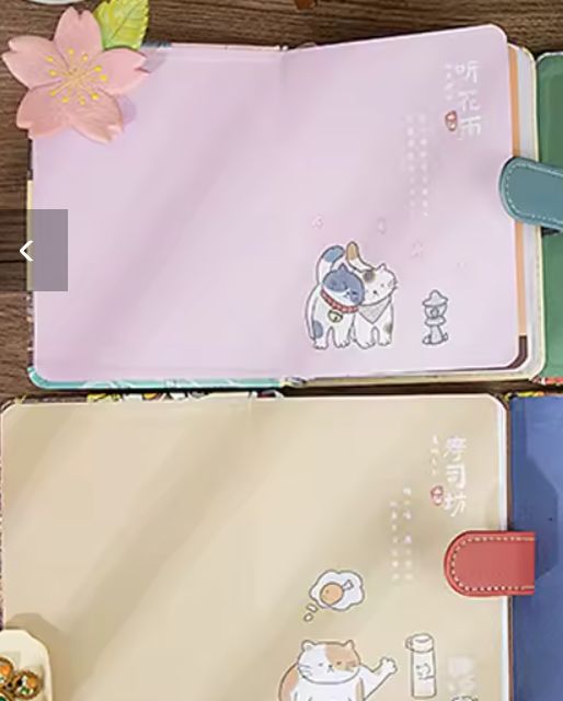 Cartoon Notebook w/magnetic clasp and colors