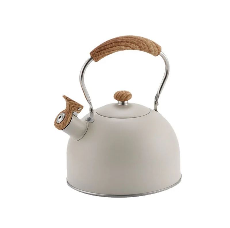 Modern Stovetop Kettle