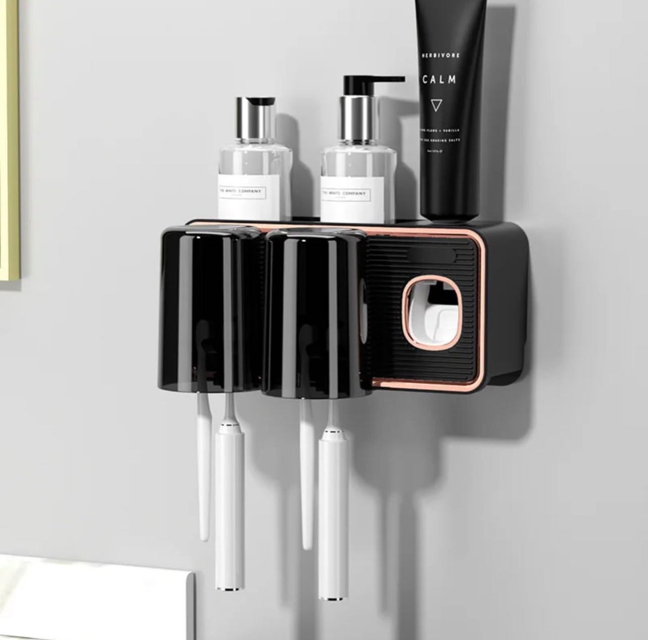 Wall Mounted Toothbrush Holder and Dispenser