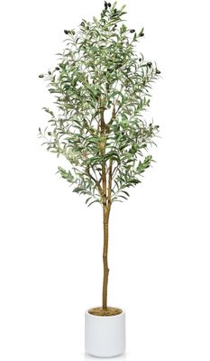 Olive Faux Plant