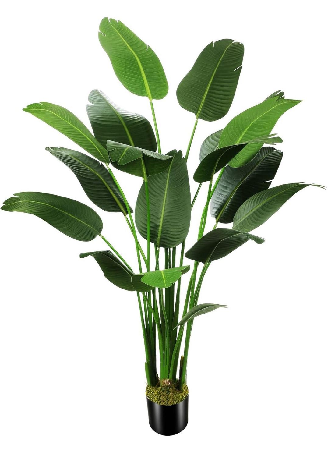 Bird of Paradise Faux Plant