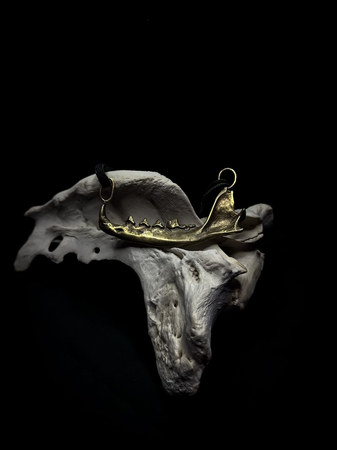 Pendant FOX JAW
