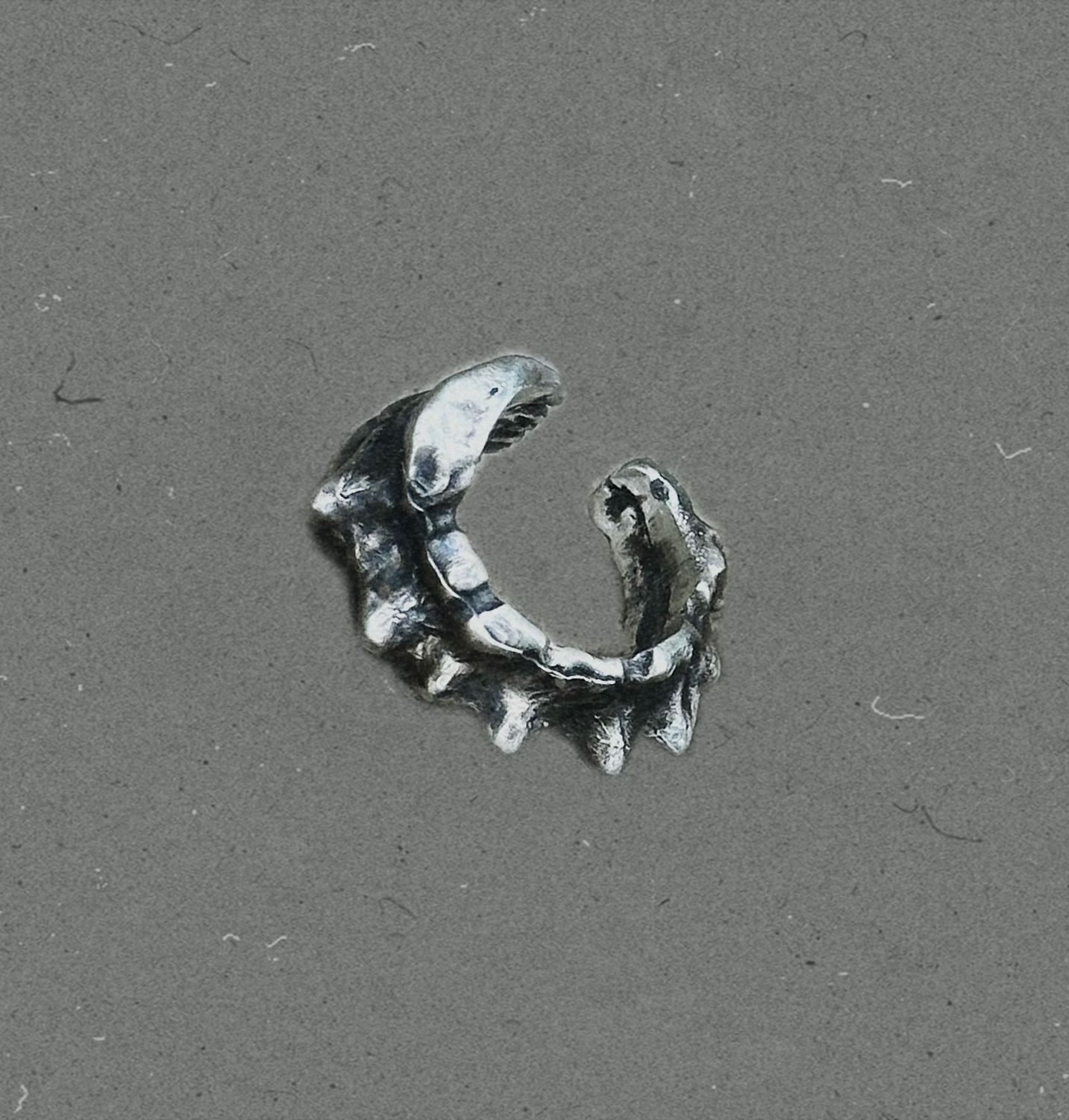 Cuff - THE SPINE CREATURE