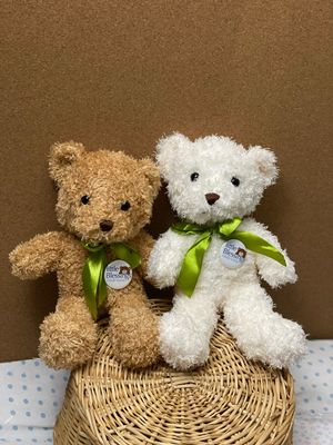 Little Blessings Bear