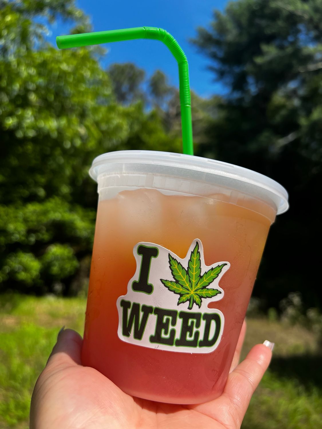 Mango Pineapple Paradise